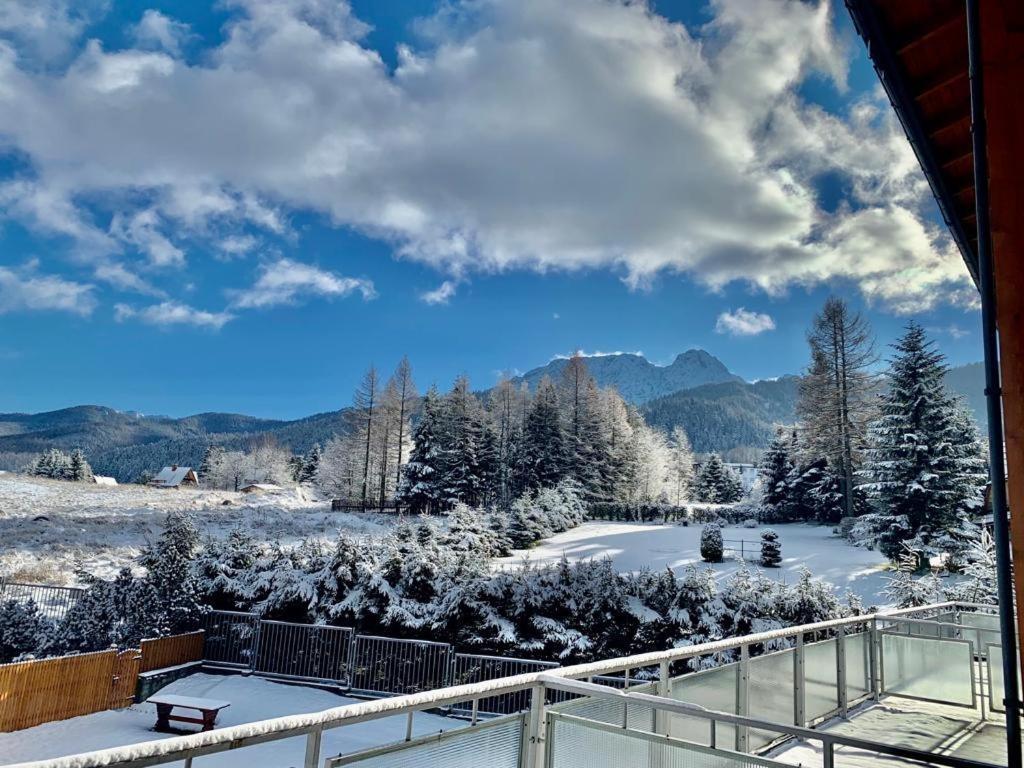 Apartment Rysy Apartamentyzakopianskie Basen Sauna Jacuzzi Zakopane